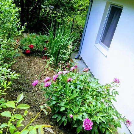 Vikendica Alibegovac Nyaraló Újvidék